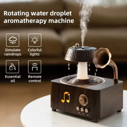 Vintage Record Player Diffuser