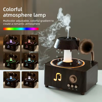 Vintage Record Player Diffuser